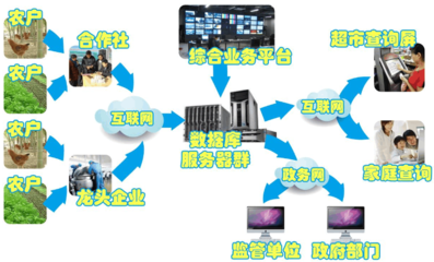 建設農產品溯源系統的目的 與網絡技術服務相結合的行之有效之道