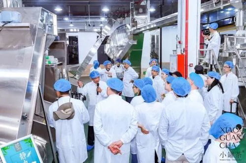 長江商報 投資15億小罐茶黃山工廠明年啟用，以高標準高品質(zhì)引領(lǐng)中國茶市，搶占房地產(chǎn)投資新風口